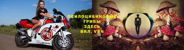 spice Абинск