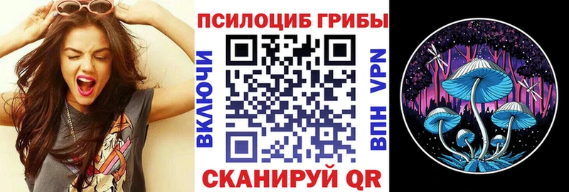 купить  сайты  Ржев  Псилоцибиновые грибы ЛСД 