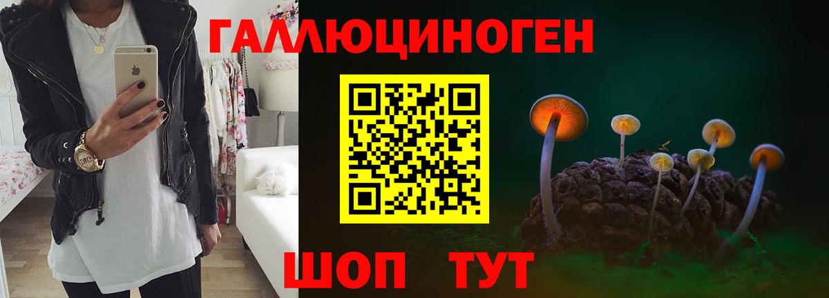 Ржев  Псилоцибиновые грибы ЛСД  Галлюциногенные грибы GOLDEN TEACHER  Вход с VPN 