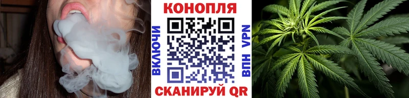 Шишки марихуана ГИДРОПОН  купить наркотики цена  Ржев 